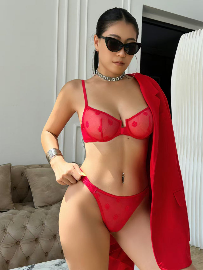 French Ultra-Thin Sheer Flocked Embroidery Sexy Lingerie Large Bust Minimizer Plus Size Bra Set