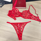 Sexy Lingerie Ultra-thin Sheer Flocked Printed Mesh Large Bust Minimizer Bra Set